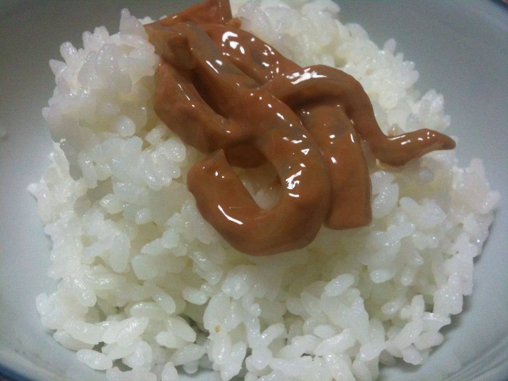 Japanisches essen mit sperma foto 1